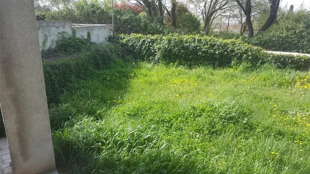 Дом в Светвинченат
