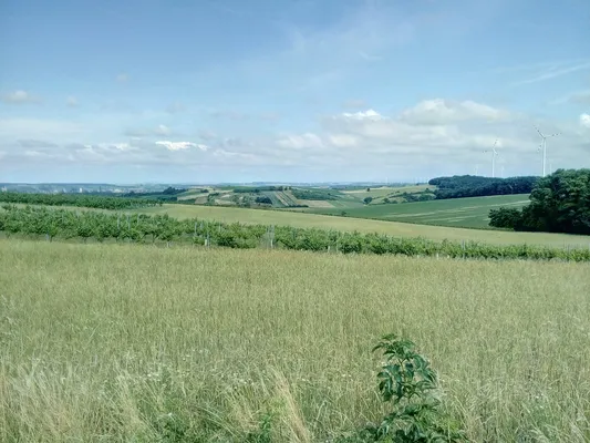 Земельный участок в Мистельбах