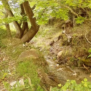 Земельный участок в Тасос, фото 3
