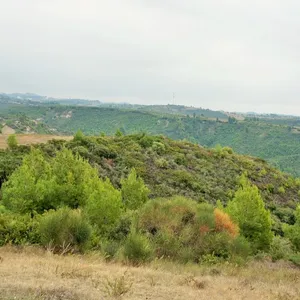Земельный участок в Kassandra Municipality, фото 5