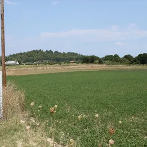 Земельный участок в Kassandra Municipality, фото 4