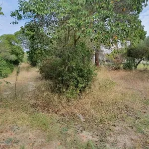 Земельный участок в Kassandra Municipality, фото 4