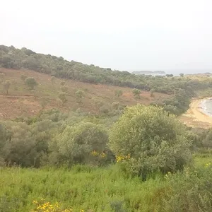Земельный участок в Aristotle University of Thessaloniki, фото 5