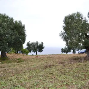 Земельный участок в Kassandra Municipality, фото 5
