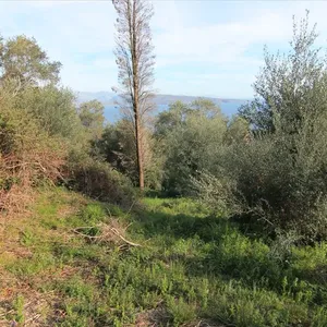 Земельный участок в Corfu, фото 2