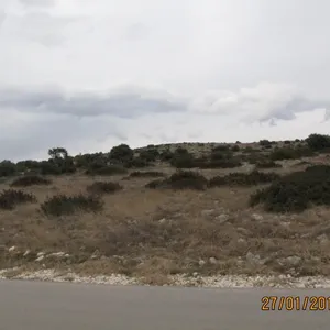 Земельный участок в Вир, фото 2