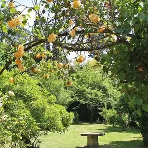 Вилла в Флоренция, фото 4
