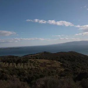 Земельный участок в Aristotle University of Thessaloniki, фото 5