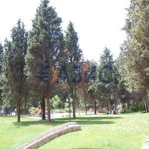 Квартира в Несебр, фото 3