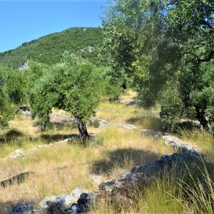 Земельный участок в Corfu, фото 4