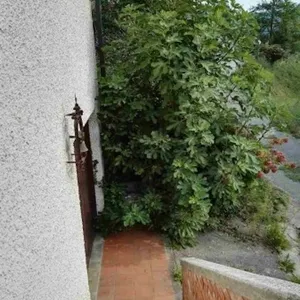 Дом в Савона, фото 4