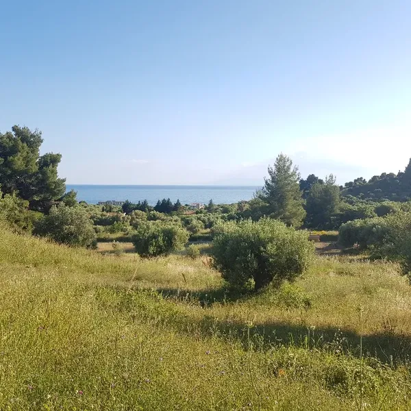 Земельный участок в Kassandra Municipality, фото 1
