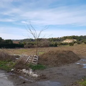 Земельный участок в Kassandra Municipality, фото 3