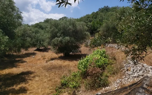 Земельный участок в Corfu