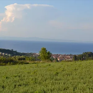 Земельный участок в Kassandra Municipality, фото 2