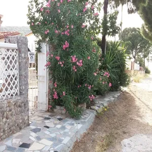 Отдельный дом в Malia Municipal Unit, фото 3