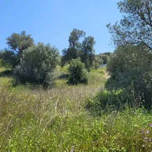 Земельный участок в Kassandra Municipality, фото 4