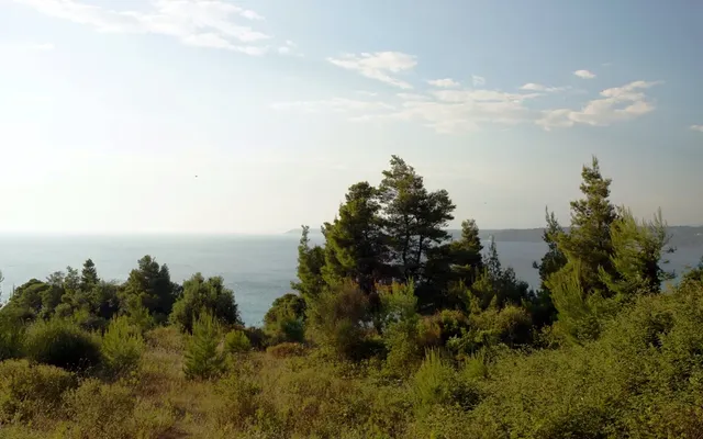 Земельный участок в Kassandra Municipality