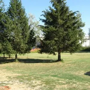 Отдельный дом в Капаннори, фото 4