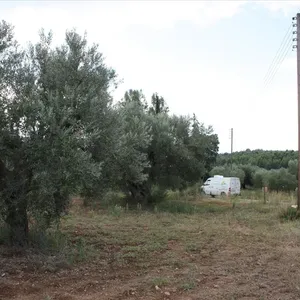 Земельный участок в Ситониа, фото 3