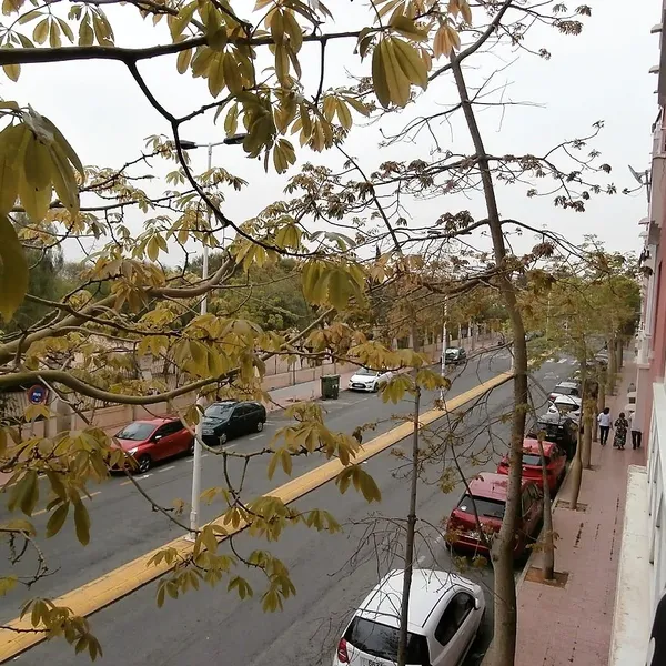 Квартира в Торревьеха, фото 1