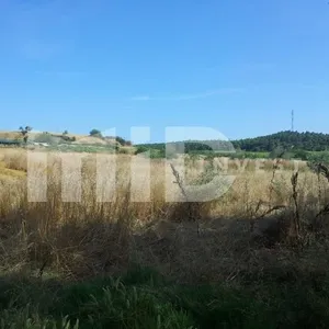 Земельный участок в Каллифея (Кассандра), фото 5