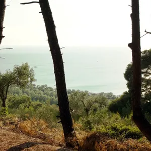 Земельный участок в Kassandra Municipality, фото 4