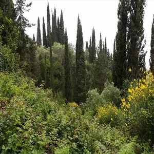 Земельный участок в Corfu, фото 4
