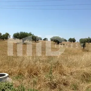Земельный участок в Каллифея (Кассандра), фото 2