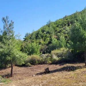 Земельный участок в Kassandra Municipality, фото 2
