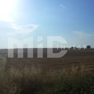 Земельный участок в Каллифея (Кассандра), фото 5
