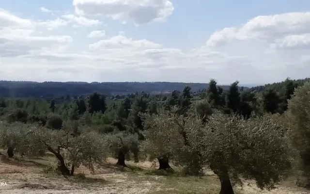 Земельный участок в Kassandra Municipality