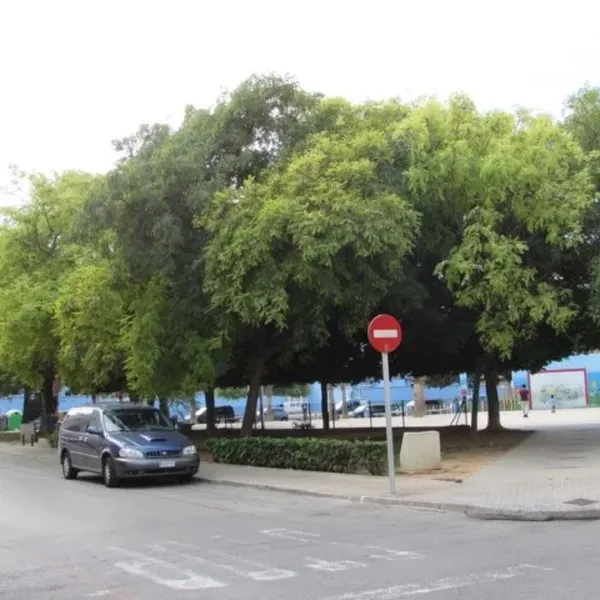 Квартира в Торревьеха, фото 1