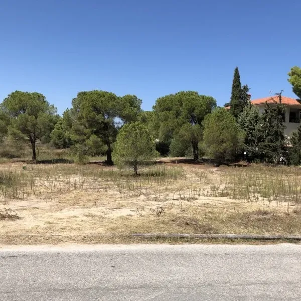 Земельный участок в Ситониа, фото 1