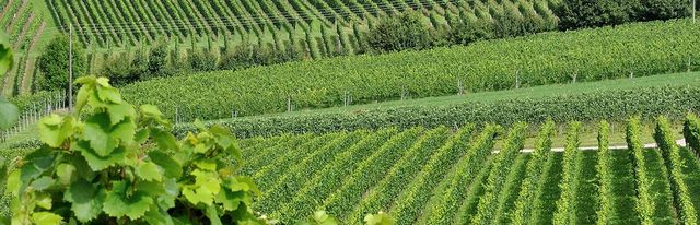 Отель в Баден-Баден