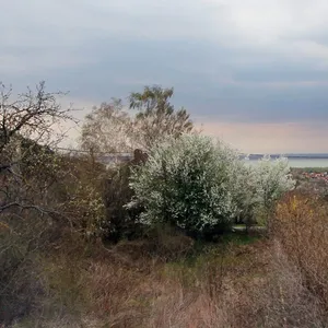 Квартира в Кестхей, фото 4