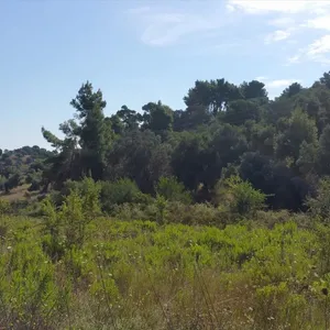 Земельный участок в Kassandra Municipality, фото 5