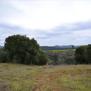 Земельный участок в Kassandra Municipality, фото 2