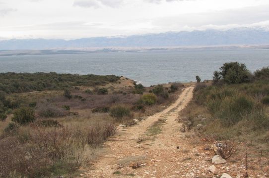 Земельный участок в Вир