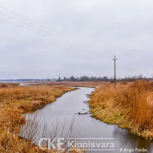 Земельный участок в Савиметса, фото 5