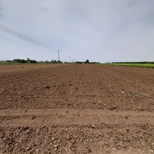 Земельный участок в Муниципалитет Неа-Пропонтида, фото 4