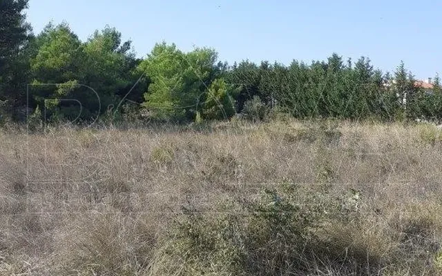 Земельный участок в Нин