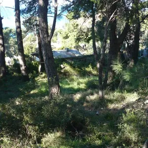 Земельный участок в Бар, фото 2
