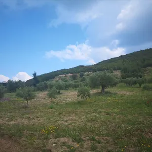 Земельный участок в Kassandra Municipality, фото 2