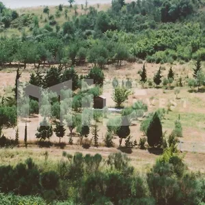 Земельный участок в Ситониа, фото 5