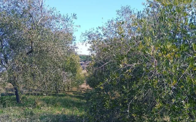 Земельный участок в Podmeja
