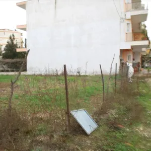 Земельный участок в Лариса, фото 4