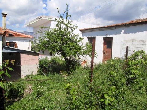 Земельный участок в Тасос