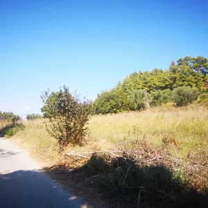 Земельный участок в Kassandra Municipality, фото 2