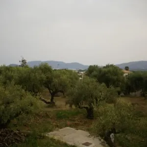 Квартира в Каламаки, фото 5